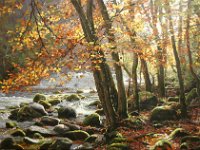 Landscapes - Sold (57)